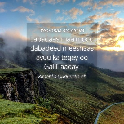 Picture 04 - Yooxanaa 4:43 SOM - Labadaas maalmood dabadeed meeshaas ayuu ka tegey - Bible Verse Picture