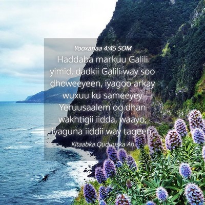 Picture 04 - Yooxanaa 4:45 SOM - Haddaba markuu Galili yimid, dadkii Galili way - Bible Verse Picture