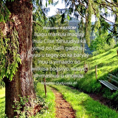 Picture 04 - Yooxanaa 4:47 SOM - Isagu markuu maqlay inuu Ciise Yahuudiya ka yimid - Bible Verse Picture