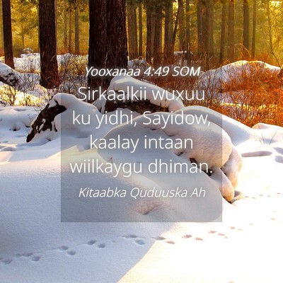 Picture 04 - Yooxanaa 4:49 SOM - Sirkaalkii wuxuu ku yidhi, Sayidow, kaalay intaan - Bible Verse Picture