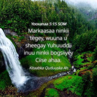 Picture 04 - Yooxanaa 5:15 SOM - Markaasaa ninkii tegey, wuuna u sheegay Yuhuuddii - Bible Verse Picture