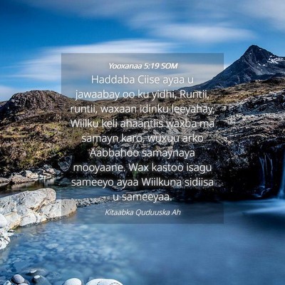 Picture 04 - Yooxanaa 5:19 SOM - Haddaba Ciise ayaa u jawaabay oo ku yidhi, - Bible Verse Picture