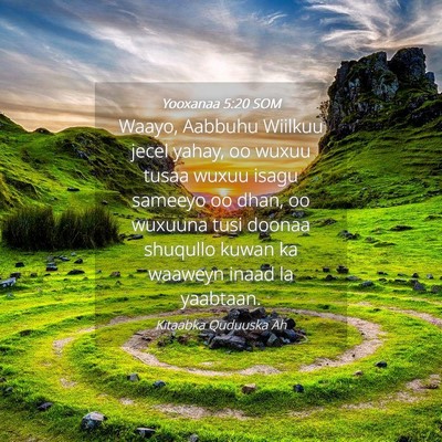Picture 04 - Yooxanaa 5:20 SOM - Waayo, Aabbuhu Wiilkuu jecel yahay, oo wuxuu - Bible Verse Picture