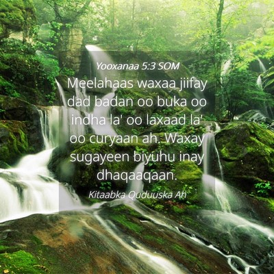 Picture 04 - Yooxanaa 5:3 SOM - Meelahaas waxaa jiifay dad badan oo buka oo indha - Bible Verse Picture