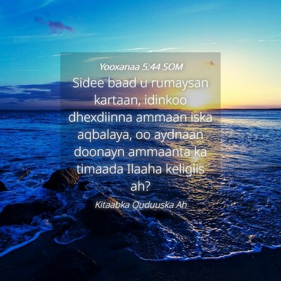 Picture 04 - Yooxanaa 5:44 SOM - Sidee baad u rumaysan kartaan, idinkoo dhexdiinna - Bible Verse Picture