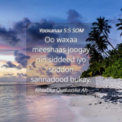 Picture 04 - Yooxanaa 5:5 SOM - Oo waxaa meeshaas joogay nin siddeed iyo soddon - Bible Verse Picture
