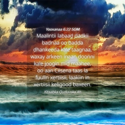 Picture 04 - Yooxanaa 6:22 SOM - Maalintii labaad dadkii badnaa oo badda dhankeeda - Bible Verse Picture