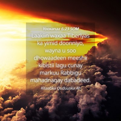 Picture 04 - Yooxanaa 6:23 SOM - Laakiin waxaa Tiberiyas ka yimid doonniyo, wayna - Bible Verse Picture
