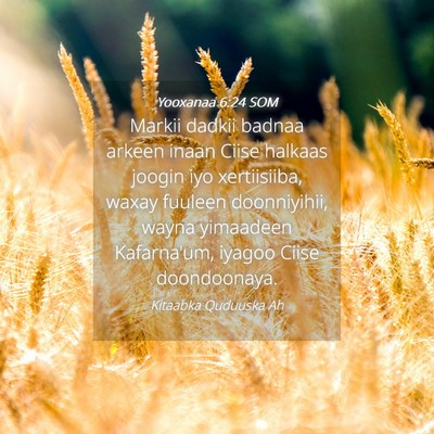 Picture 04 - Yooxanaa 6:24 SOM - Markii dadkii badnaa arkeen inaan Ciise halkaas - Bible Verse Picture