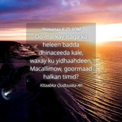 Picture 04 - Yooxanaa 6:25 SOM - Oo markay isaga ka heleen badda dhinaceeda kale, - Bible Verse Picture