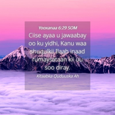 Picture 04 - Yooxanaa 6:29 SOM - Ciise ayaa u jawaabay oo ku yidhi, Kanu waa - Bible Verse Picture