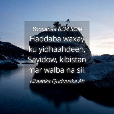 Picture 04 - Yooxanaa 6:34 SOM - Haddaba waxay ku yidhaahdeen, Sayidow, kibistan - Bible Verse Picture