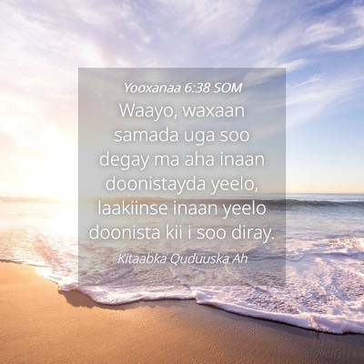 Picture 04 - Yooxanaa 6:38 SOM - Waayo, waxaan samada uga soo degay ma aha inaan - Bible Verse Picture