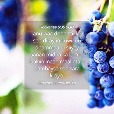 Picture 04 - Yooxanaa 6:39 SOM - Tanu waa doonistii kii i soo diray in kuwii uu - Bible Verse Picture