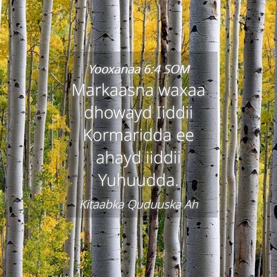 Picture 04 - Yooxanaa 6:4 SOM - Markaasna waxaa dhowayd Iiddii Kormaridda ee - Bible Verse Picture