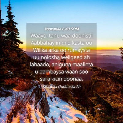 Picture 04 - Yooxanaa 6:40 SOM - Waayo, tanu waa doonistii Aabbahay in mid kasta - Bible Verse Picture