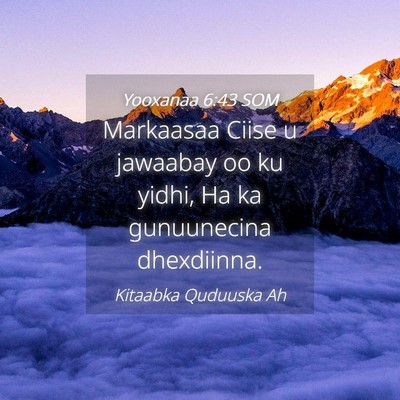Picture 04 - Yooxanaa 6:43 SOM - Markaasaa Ciise u jawaabay oo ku yidhi, Ha ka - Bible Verse Picture