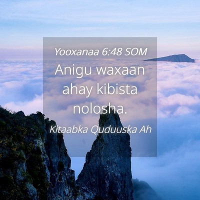 Picture 04 - Yooxanaa 6:48 SOM - Anigu waxaan ahay kibista - Bible Verse Picture