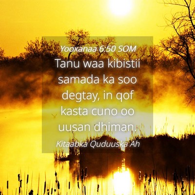 Picture 04 - Yooxanaa 6:50 SOM - Tanu waa kibistii samada ka soo degtay, in qof - Bible Verse Picture