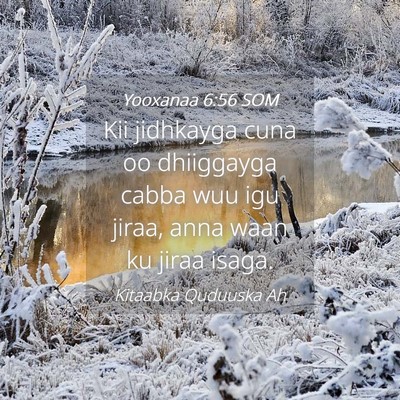 Picture 04 - Yooxanaa 6:56 SOM - Kii jidhkayga cuna oo dhiiggayga cabba wuu igu - Bible Verse Picture