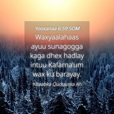 Picture 04 - Yooxanaa 6:59 SOM - Waxyaalahaas ayuu sunagogga kaga dhex hadlay - Bible Verse Picture