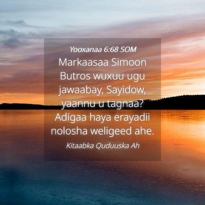 Picture 04 - Yooxanaa 6:68 SOM - Markaasaa Simoon Butros wuxuu ugu jawaabay, - Bible Verse Picture