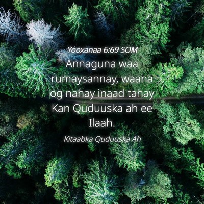 Picture 04 - Yooxanaa 6:69 SOM - Annaguna waa rumaysannay, waana og nahay inaad - Bible Verse Picture
