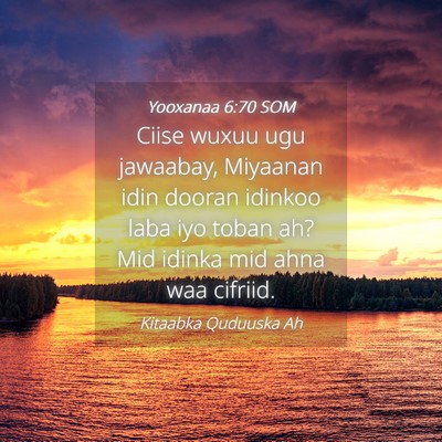 Picture 04 - Yooxanaa 6:70 SOM - Ciise wuxuu ugu jawaabay, Miyaanan idin dooran - Bible Verse Picture