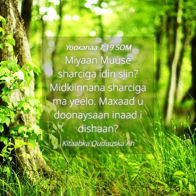 Picture 04 - Yooxanaa 7:19 SOM - Miyaan Muuse sharciga idin siin? Midkiinnana - Bible Verse Picture