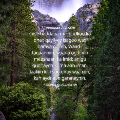 Picture 04 - Yooxanaa 7:28 SOM - Ciise haddaba macbudkuu ka dhex qayliyey isagoo - Bible Verse Picture