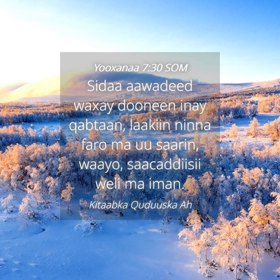 Picture 04 - Yooxanaa 7:30 SOM - Sidaa aawadeed waxay dooneen inay qabtaan, - Bible Verse Picture