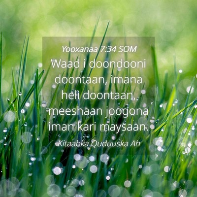 Picture 04 - Yooxanaa 7:34 SOM - Waad i doondooni doontaan, imana heli doontaan, - Bible Verse Picture