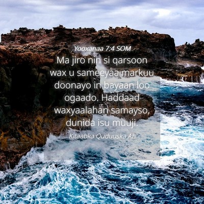 Picture 04 - Yooxanaa 7:4 SOM - Ma jiro nin si qarsoon wax u sameeyaa markuu - Bible Verse Picture