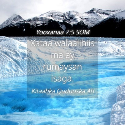 Picture 04 - Yooxanaa 7:5 SOM - Xataa walaalihiis ma ay rumaysan - Bible Verse Picture
