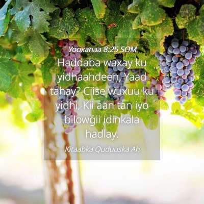 Picture 04 - Yooxanaa 8:25 SOM - Haddaba waxay ku yidhaahdeen, Yaad tahay? Ciise - Bible Verse Picture