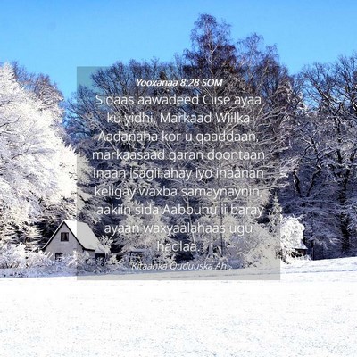 Picture 04 - Yooxanaa 8:28 SOM - Sidaas aawadeed Ciise ayaa ku yidhi, Markaad - Bible Verse Picture