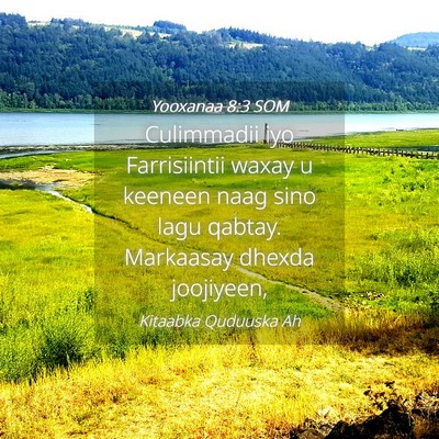 Picture 04 - Yooxanaa 8:3 SOM - Culimmadii iyo Farrisiintii waxay u keeneen naag - Bible Verse Picture