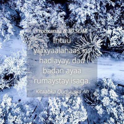 Picture 04 - Yooxanaa 8:30 SOM - Intuu waxyaalahaas ku hadlayay, dad badan ayaa - Bible Verse Picture