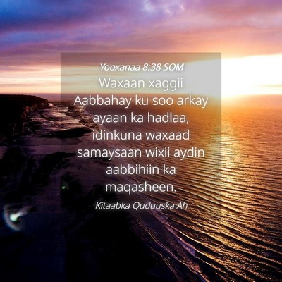 Picture 04 - Yooxanaa 8:38 SOM - Waxaan xaggii Aabbahay ku soo arkay ayaan ka - Bible Verse Picture