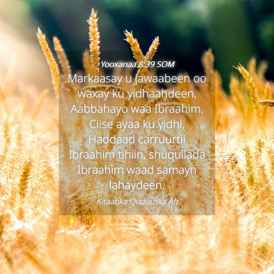 Picture 04 - Yooxanaa 8:39 SOM - Markaasay u jawaabeen oo waxay ku yidhaahdeen, - Bible Verse Picture