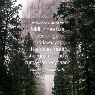Picture 04 - Yooxanaa 8:46 SOM - Midkiinnee baa dembi igu caddaynaya? Haddaan - Bible Verse Picture