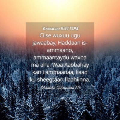 Picture 04 - Yooxanaa 8:54 SOM - Ciise wuxuu ugu jawaabay, Haddaan is-ammaano, - Bible Verse Picture