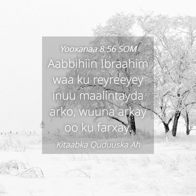 Picture 04 - Yooxanaa 8:56 SOM - Aabbihiin Ibraahim waa ku reyreeyey inuu - Bible Verse Picture