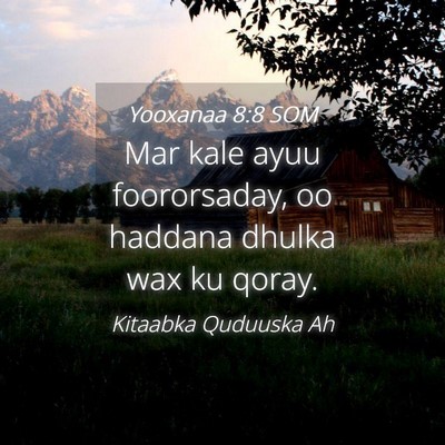 Picture 04 - Yooxanaa 8:8 SOM - Mar kale ayuu foororsaday, oo haddana dhulka wax - Bible Verse Picture