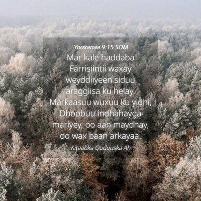 Picture 04 - Yooxanaa 9:15 SOM - Mar kale haddaba Farrisiintii waxay weyddiiyeen - Bible Verse Picture