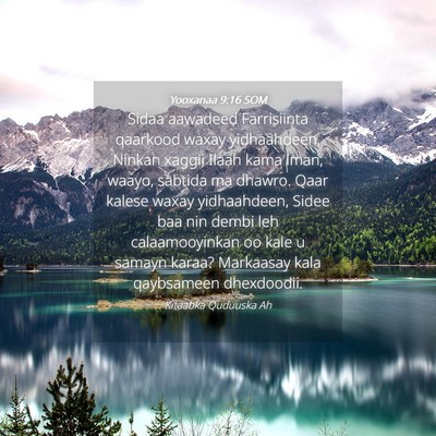 Picture 04 - Yooxanaa 9:16 SOM - Sidaa aawadeed Farrisiinta qaarkood waxay - Bible Verse Picture