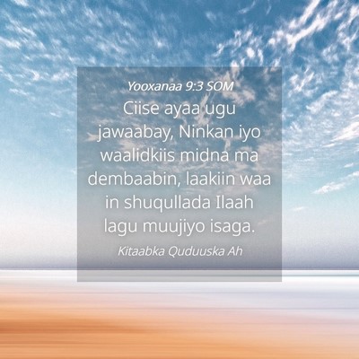 Picture 04 - Yooxanaa 9:3 SOM - Ciise ayaa ugu jawaabay, Ninkan iyo waalidkiis - Bible Verse Picture