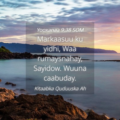 Picture 04 - Yooxanaa 9:38 SOM - Markaasuu ku yidhi, Waa rumaysnahay, Sayidow. - Bible Verse Picture