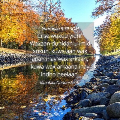 Picture 04 - Yooxanaa 9:39 SOM - Ciise wuxuu yidhi, Waxaan dunidan u imid xukun, - Bible Verse Picture