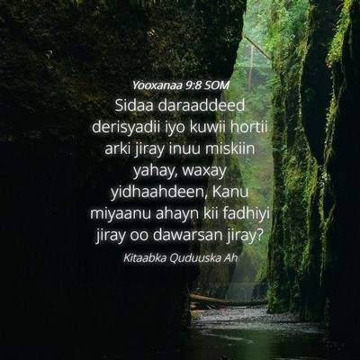 Picture 04 - Yooxanaa 9:8 SOM - Sidaa daraaddeed derisyadii iyo kuwii hortii arki - Bible Verse Picture